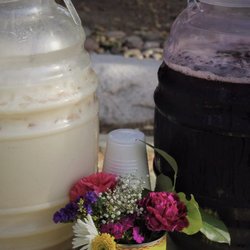 Horchata & jamaica