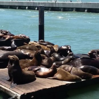PIER 39 - Shopping Centers Near Me - San Francisco, California