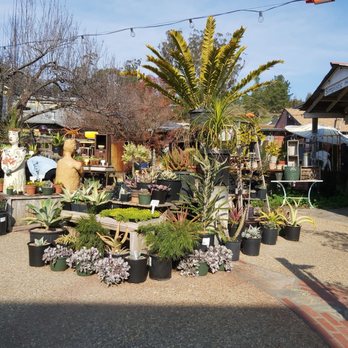 The Garden Shed - Outdoor area - Nurseries & Gardening Near Me - Cambria, California The Garden Shed - Outdoor area - Nurseries & Gardening Near Me - Cambria, California