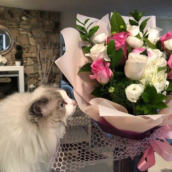 Cypress Florist - Florists Near Me - Cypress, California Cypress Florist - Florists Near Me - Cypress, California
