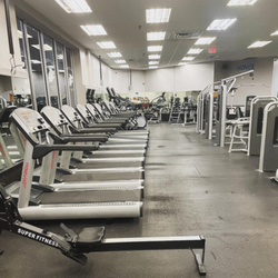 Wolf Fitness - Brigantine