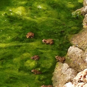 Vale D´el Rei - hotel pond - Hotels Near Me - Lagoa, 08