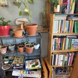 The Nest Bakery - Plants, games, and books