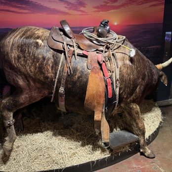 Bull And Bowl - American Near Me - Austin, Texas Bull And Bowl - American Near Me - Austin, Texas