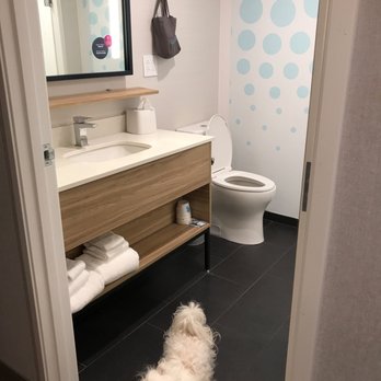 Tru By Hilton Savannah Midtown - Pets allowed at $35/night - Hotels Near Me - Savannah, Georgia Tru By Hilton Savannah Midtown - Pets allowed at $35/night - Hotels Near Me - Savannah, Georgia