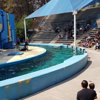 Six Flags Discovery Kingdom - Amusement Parks Near Me - Vallejo, California Six Flags Discovery Kingdom - Amusement Parks Near Me - Vallejo, California