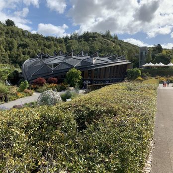 Eden Project - Local Flavor Near Me - St Blaise, CON