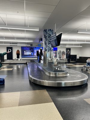 Dunedin Airport by null