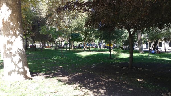 Parque Forestal by null