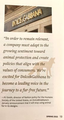 Dolce & Gabbana by null