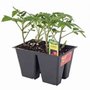 Photo of Lakeside Garden Center