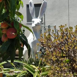Giant Bunny - He's hiding!