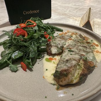 Credence - Wild gulf snapper - New American Near Me - Houston, Texas