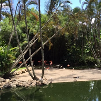 Flamingo Gardens - Flamingo Garden - Botanical Gardens Near Me - Davie, Florida