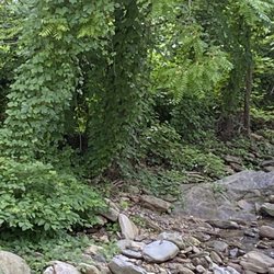 Wildcat Rock Trail