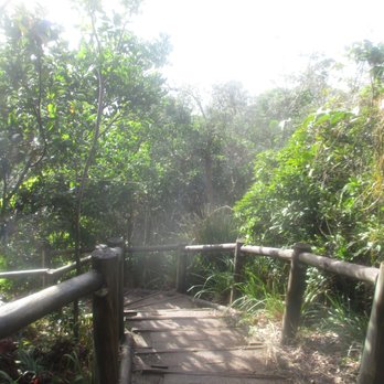 Cape Byron Walking Track - Hiking Trail - Parks Near Me - Byron Bay, NSW