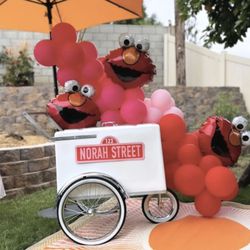 Popleta Cart - 1st Birthday Party