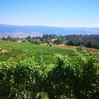 BARE Wine Tours - Wine Tours Near Me