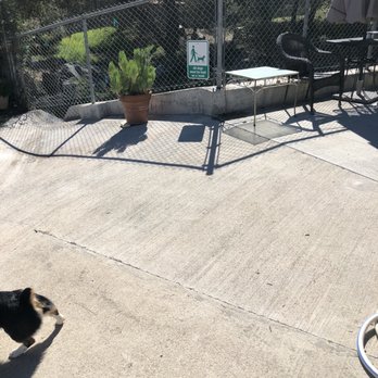Topanga Dog Resort - She was run to get in! - Pet Training Near Me - Topanga, California Topanga Dog Resort - She was run to get in! - Pet Training Near Me - Topanga, California