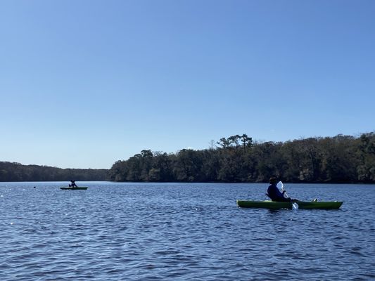 Fanning Springs State Park by null
