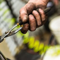 The Tire Guy 2