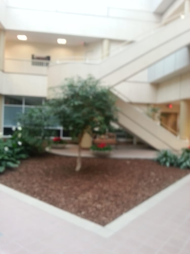 Somali Community Center of Nashville - social services organization in Nashville, TN