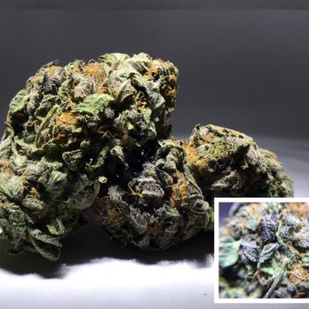 Caliholistic - GDP Indica Strain - Cannabis Dispensaries Near Me