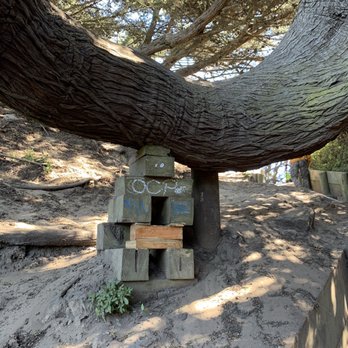 Lands End Trail - Hiking Near Me - San Francisco, California