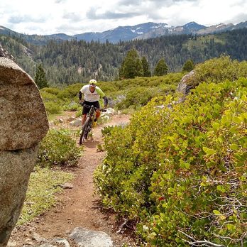 Cyclepaths BikeShop - Bikes Near Me - Truckee, California