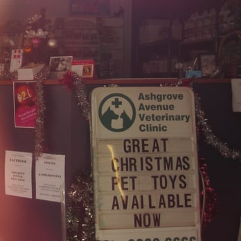 Ashgrove Avenue Veterinary Clinic - The front counter at Ashgrove Avenue Vet. - Veterinarians Near Me - Ashgrove, QLD