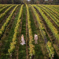 Domaine Pterion - Vineyard & Winery