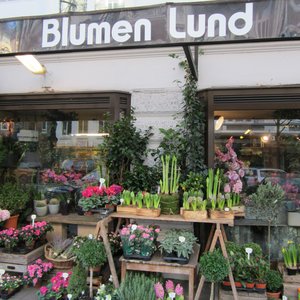 BLUME 2000 Updated November 2024 20 Photos & 29 Reviews