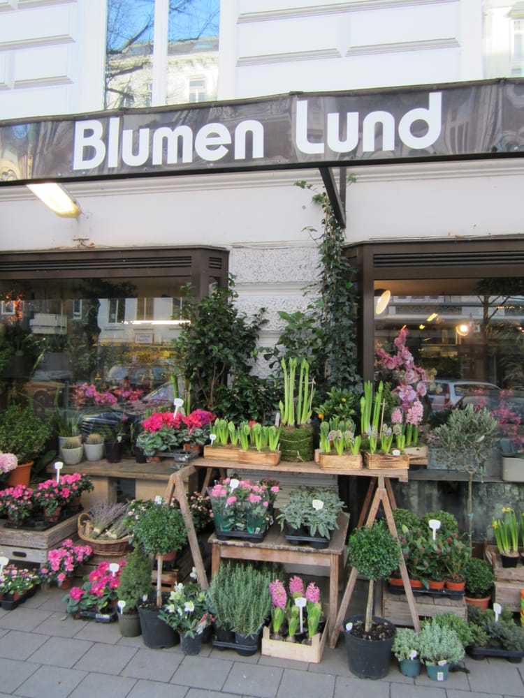BLUMENLUND Updated September 2024 Grindelhof 68, Hamburg, Germany Florists Phone Number