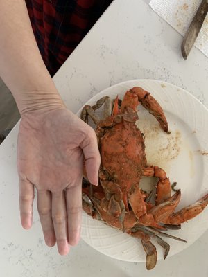 Crosby's Crab Company by null