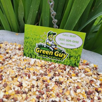 Green Guy Lawn Service - Lawn Services Near Me - Opelousas, Louisiana Green Guy Lawn Service - Lawn Services Near Me - Opelousas, Louisiana
