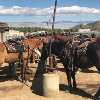 Smoke Tree Stables - Horses in the corral - Horseback Riding Near Me - Palm Springs, California