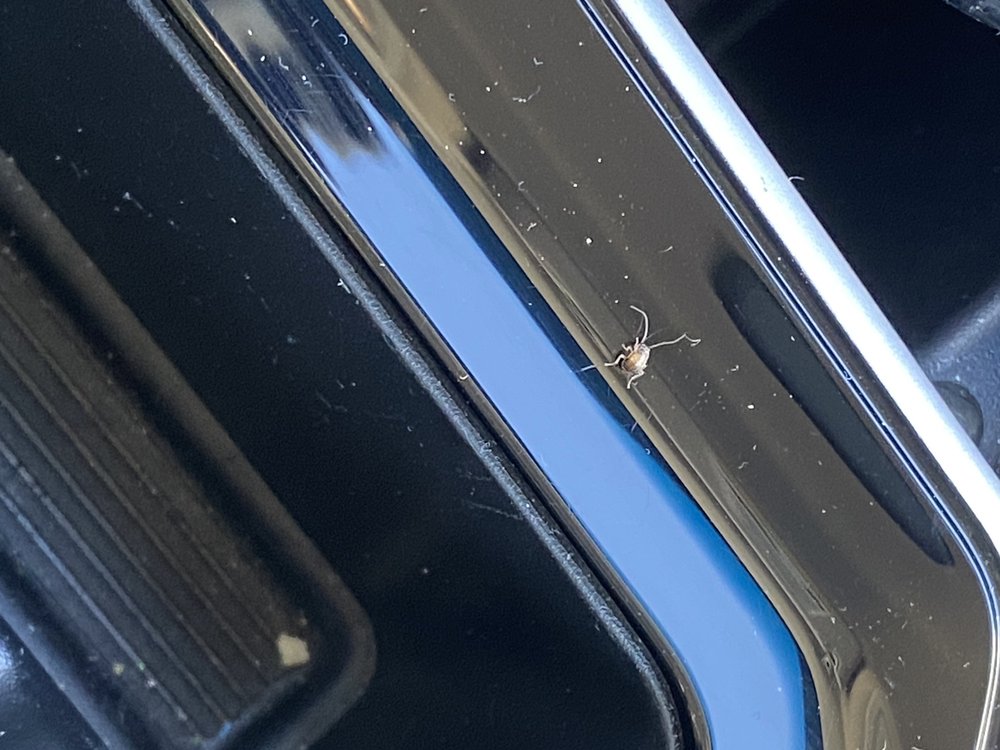 HERTZ RENT A CAR Updated August 2024 10 Photos & 30 Reviews 5060