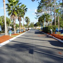Alafaya Palms