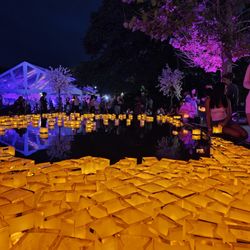 Waterfront Night Market