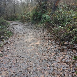Loomis Park - Nature walk