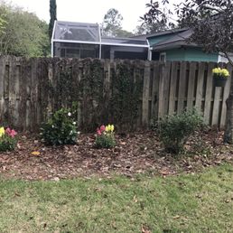 Forgot to take a picture at the nursery, but the colorful snapdragon plants in the ground and hanging in the tree were purchased there!