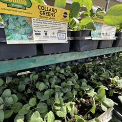 Swint's Feed & Garden Supply, Inc