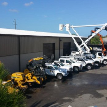 Brown's Tree Service - Tree Services Near Me - Sarasota, Florida Brown's Tree Service - Tree Services Near Me - Sarasota, Florida