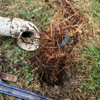Superior Jetting - Rooted area drain - Hydro-jetting Near Me Superior Jetting - Rooted area drain - Hydro-jetting Near Me
