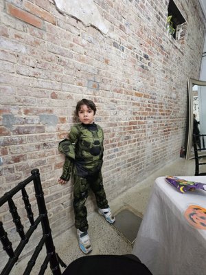 Belle Vue Wilmington by null