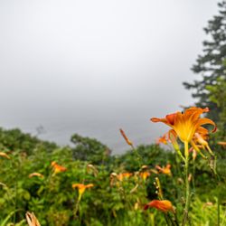 Owls Head State Park - Owls Head State Park
