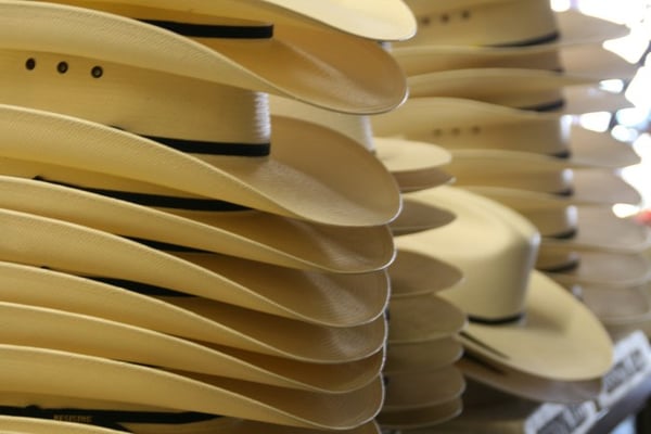 Bosworth and Son Store by null