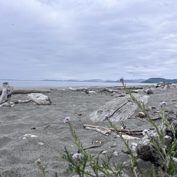 Moran Beach County Park - Local Flavor Near Me - Oak Harbor, Washington