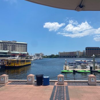 The Sail - View from the bar - Sandwiches Near Me - Tampa, Florida The Sail - View from the bar - Sandwiches Near Me - Tampa, Florida