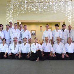 North Texas Aikido - Pat Hendricks Sensei (Aikido of San Leandro) visit, Spring 2017